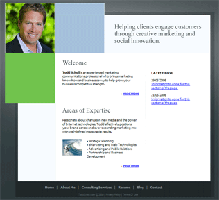 ToddSchollConsulting.com
